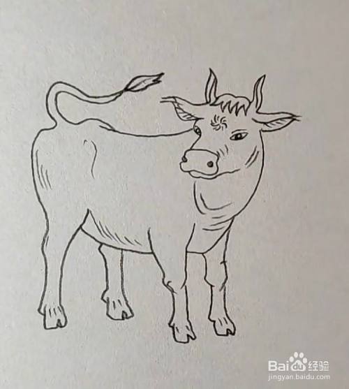 勤劳朴实的牛怎么画