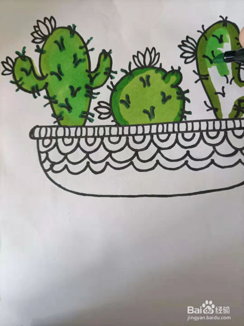 一盆仙人掌盆栽的简单画法?