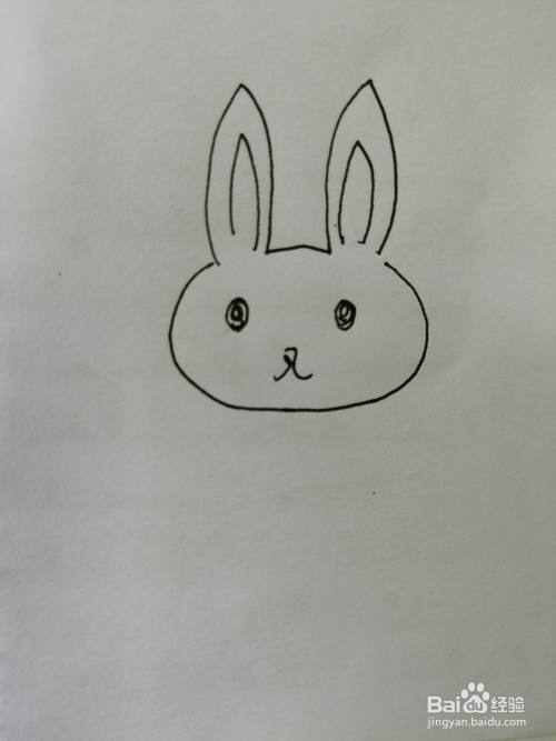 第四步,接着在可爱的小兔子的眼睛下面画出小嘴巴,小嘴巴画法比较简单