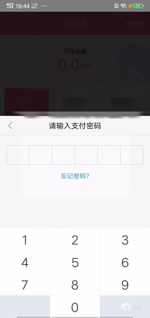 最后我们输入付款密码,输入后就可以充值b币成功,如图所示.