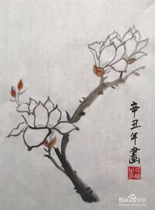 国画水墨写意《玉兰花》怎么画?