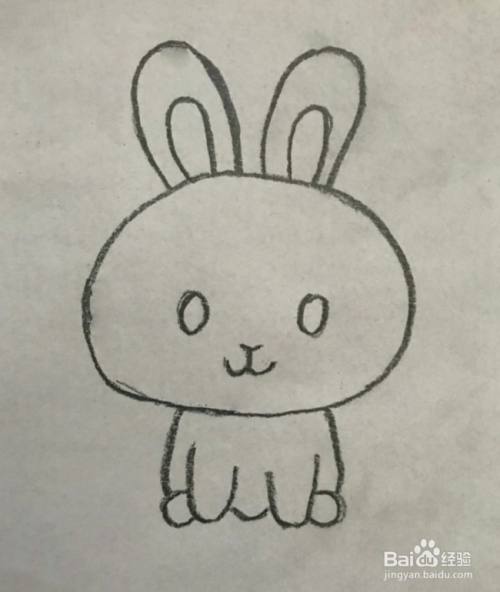 【简笔画】小白兔的分步画法