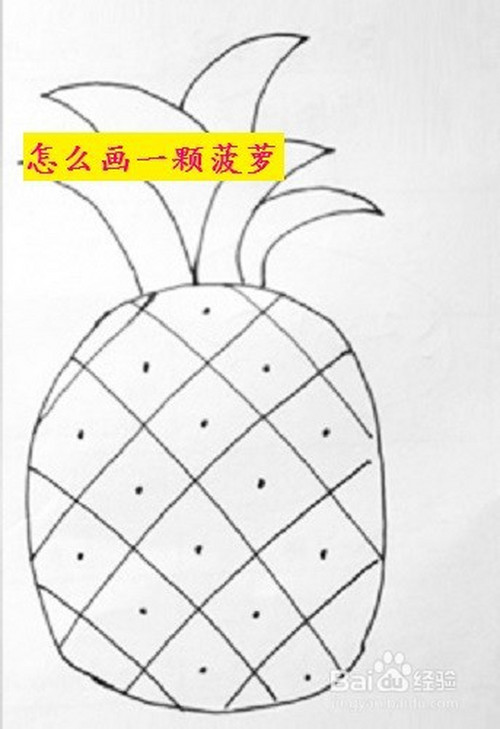 怎么画一颗菠萝
