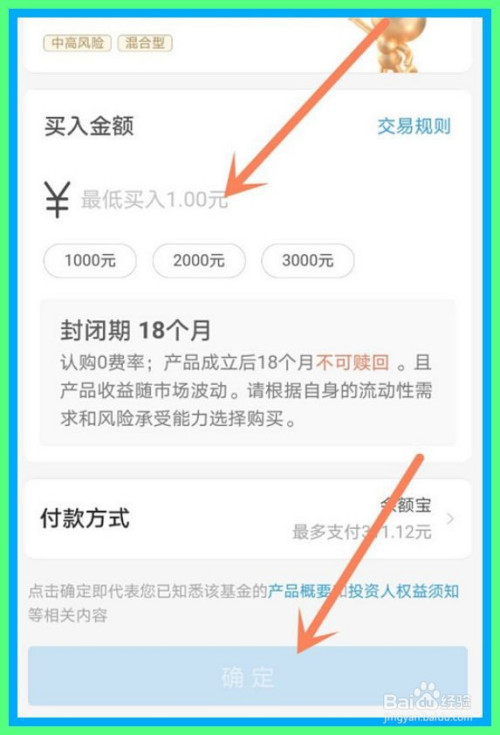 如图,进入购买界面,输入我们的购买金额,点击下面的确定按钮进行