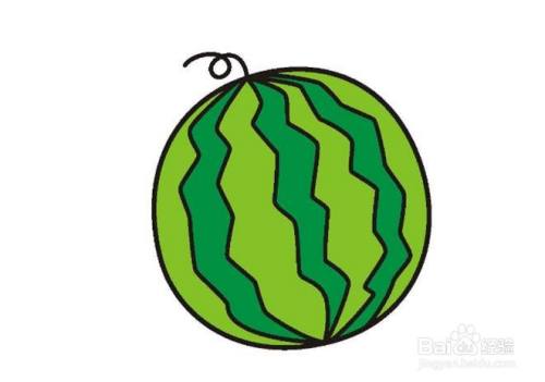 在其他位置涂上西瓜的整体浅绿色,如此一个简单的西瓜简笔画就画好