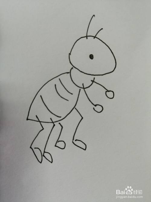 小蚂蚁活泼又可爱,今天,小编和小朋友们一起来分享可爱的小蚂蚁的画法