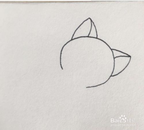 先画出小猫圆圆的脸部轮廓,画出两只竖起的小耳朵.