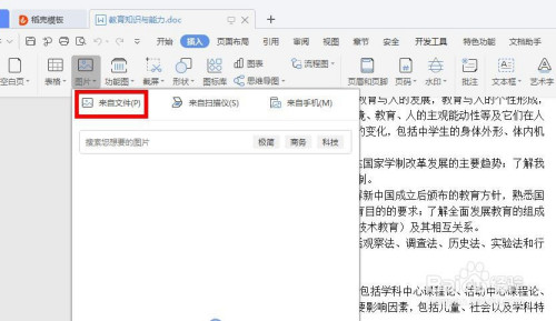 wps文档怎么插入电脑中的图片?