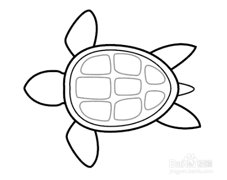 简笔画 海龟