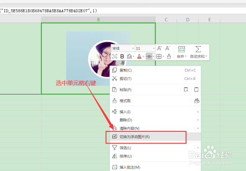 wps下excel中把图片嵌入单元格内部的方法和步骤