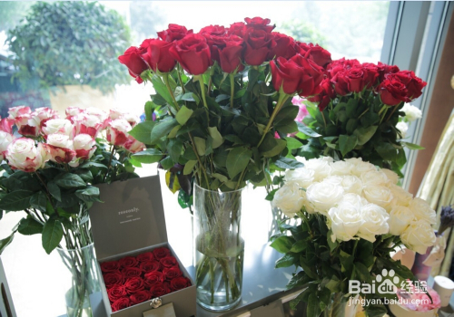 枪炮玫瑰是盒装厄瓜多尔进口玫瑰花,因杆子粗壮,花头硕大而得名.