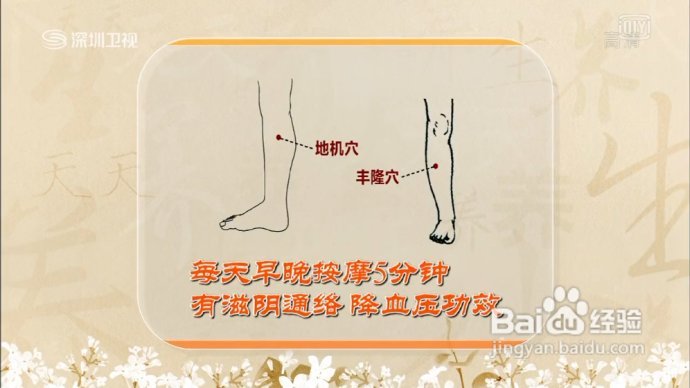 腿疗防治高血压20130328