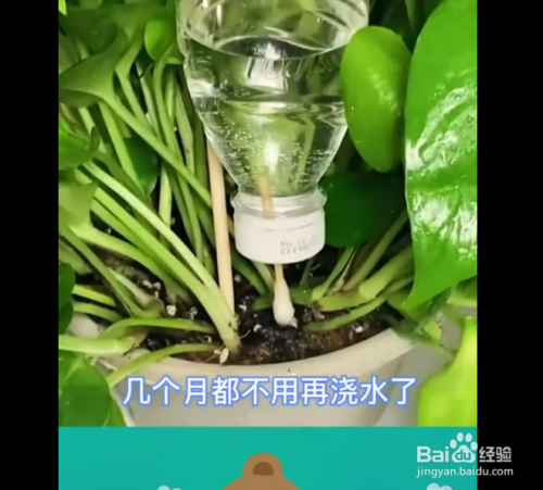 矿泉水瓶的妙用