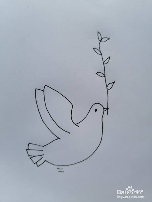 和平白鸽怎么画