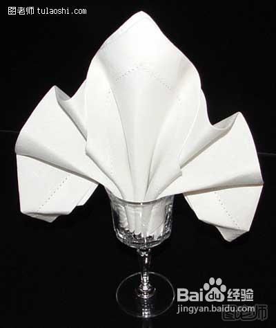 餐巾花折叠大全 杯花鸢尾花的折叠方法