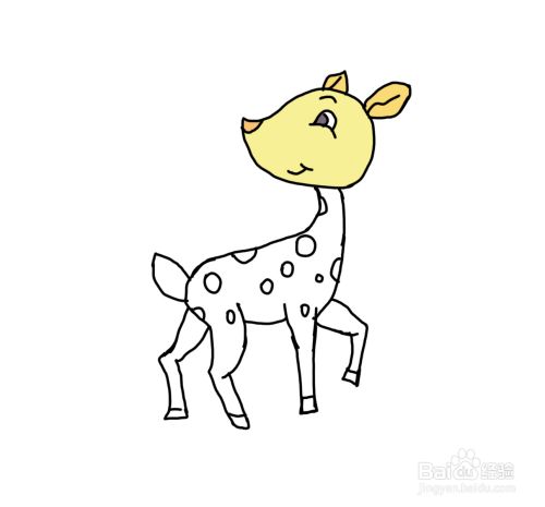 怎么画儿童彩色简笔画卡通动物小鹿?