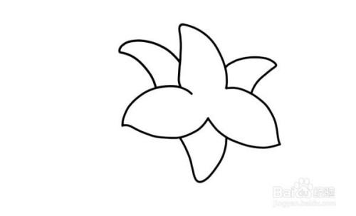 百合花简笔画怎么画简单好看
