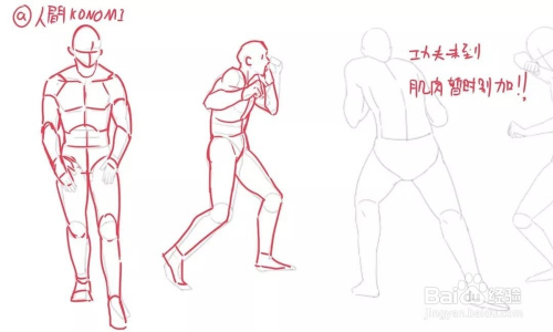 【精品】初学者怎么画人体结构