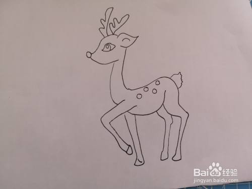 可爱小鹿的画法