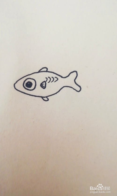 简笔画-卡通鱼怎么画