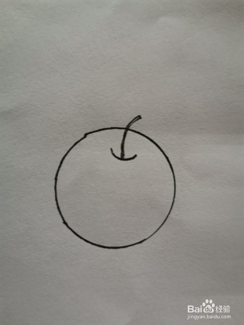 圆形水果简笔画:苹果