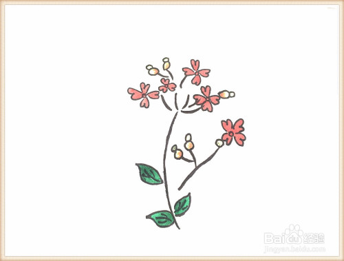 一笔一笔教你画樱花简笔画