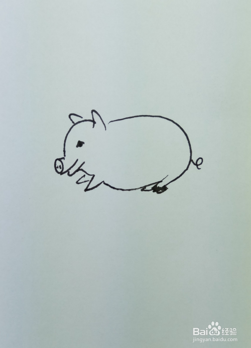 3 再用线条和曲线画出小猪的剩下的其他几条腿,要注意小猪腿部的透视