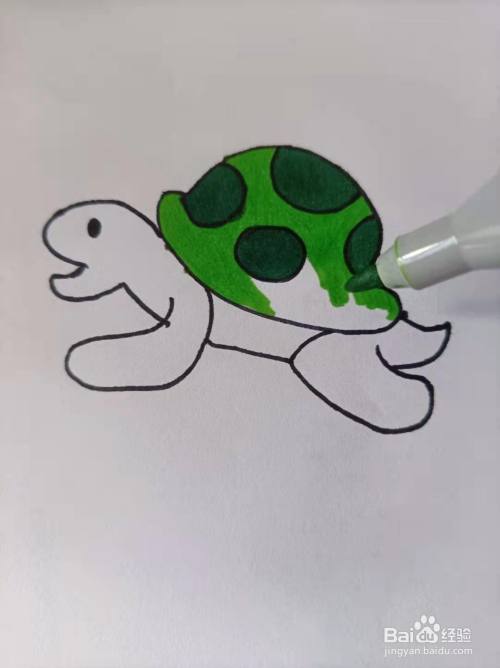 小乌龟的简笔画怎么画?