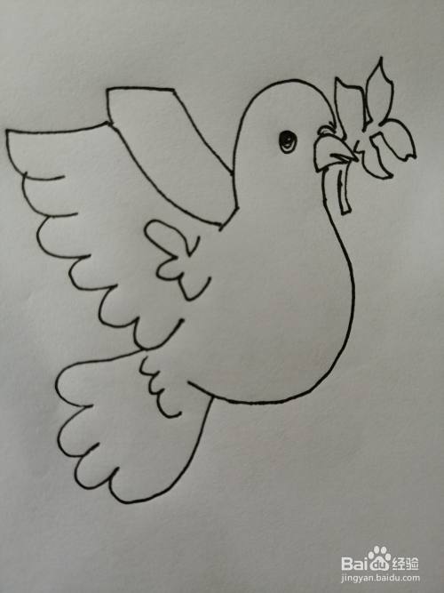 和平鸽怎么画