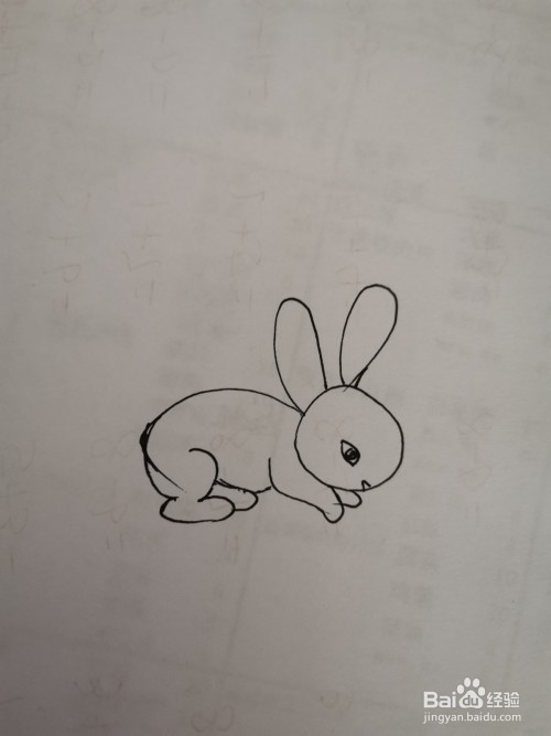 一年级美术简笔画:小兔子