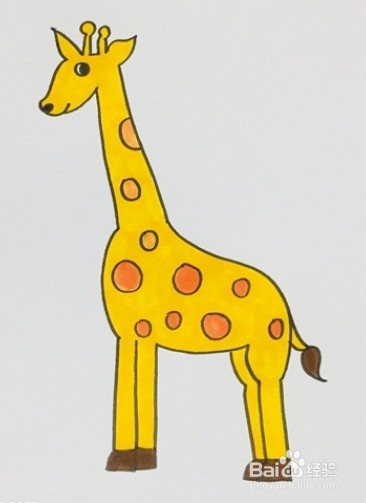 继续给身上的斑纹涂橘黄色,尾巴和蹄子涂棕色,简单的长颈鹿简笔画就