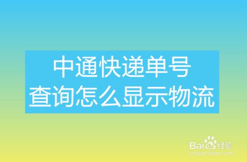 中通快递单号查询怎么显示物流