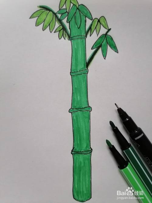 最后用浅绿色涂好剩下的竹叶,竹子简笔画就画好啦