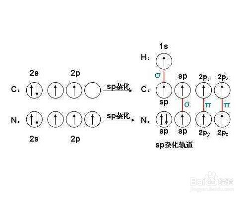 2 每个sp 杂化轨道含有1/2的s成分 和1/2的p成分,杂