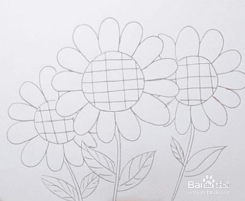 向日葵的花瓣怎么画