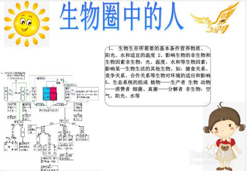 生物圈中的人手抄报