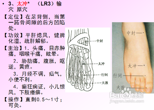 中医经络知识之足厥阴肝经图解