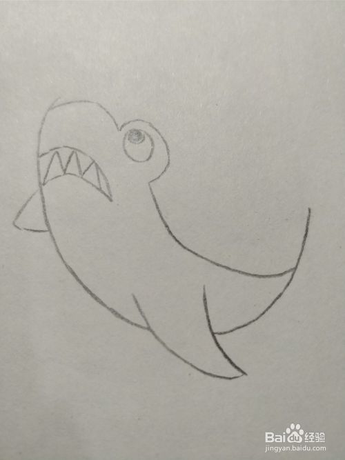 简笔画画大鲨鱼