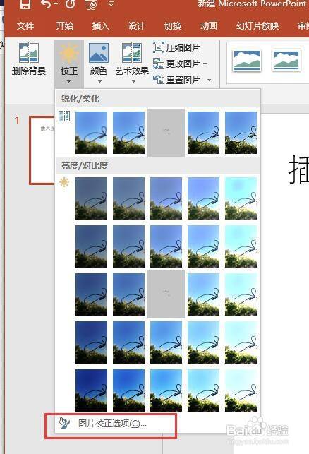 4,弹出下拉列表中点击底部的图片校正选项.
