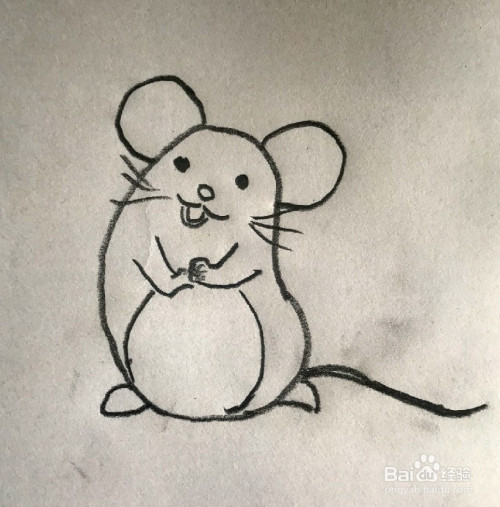 【简笔画】小老鼠的分步画法