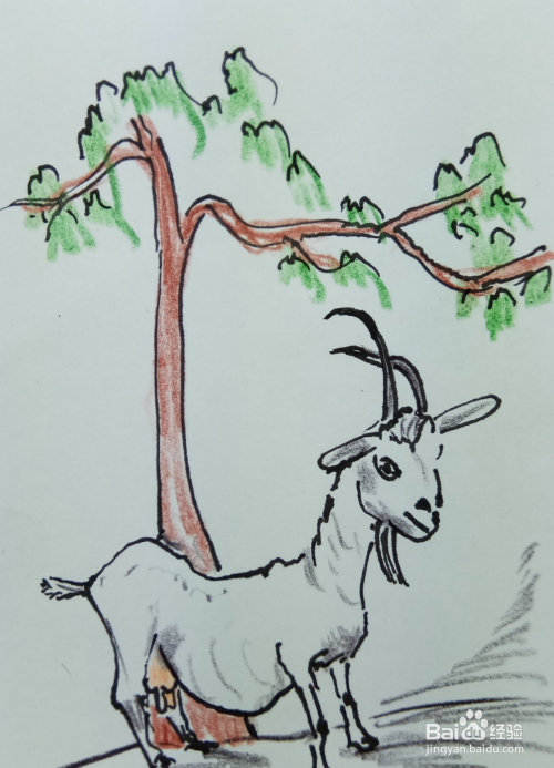 怎样画简笔画"树下的一只母山羊"?