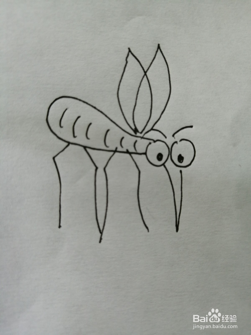 简笔画小蚊子怎么画