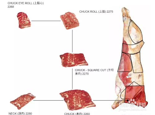 牛排的部位图解