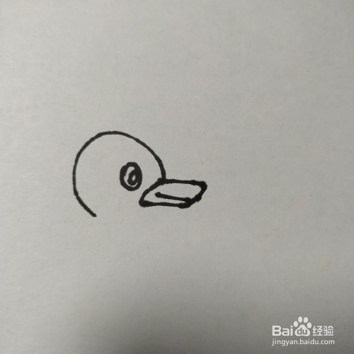 如何画鸭子的儿童画(一)?