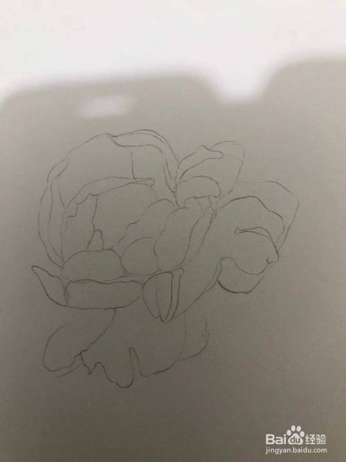 如何画一朵玫瑰花