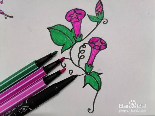 牵牛花怎么画