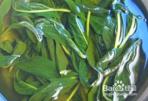 新采摘的芝麻叶洗净,放入盐水中浸泡10分钟,然后在沸水中滴入一勺食用