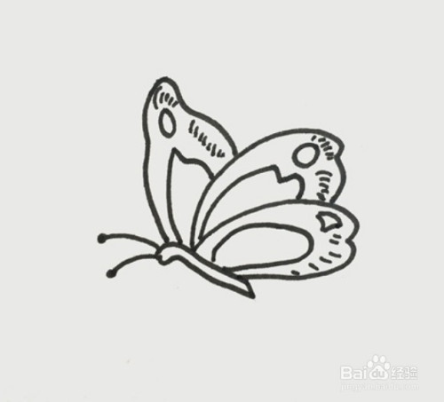 简笔画系列-怎么画一笔一画的蝴蝶画法