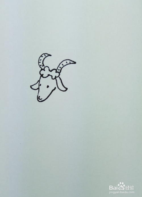 上用线条和曲线画出小羊的头部轮廓,然后再画出羊的五官和头上的羊角