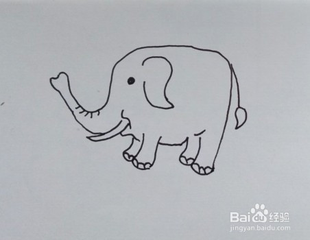 2 画大象的鼻子,如图所示. 3 画大象的眼睛和牙齿,如图所示.